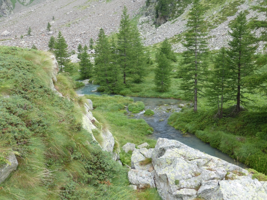 Larousa