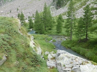 Larousa